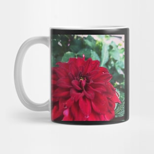 Red Layers Mug